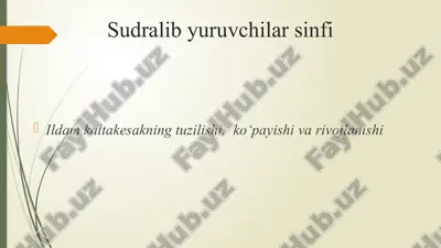 sudralib yuruvchilar sinfi 3 — PPTX