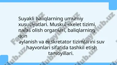 suyakli baliqlarning umumiy xususiyatlari. muskul-skelet tizimi, nafas olish organlari — PPTX