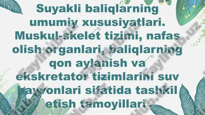 suyakli baliqlarning umumiy xususiyatlari. muskul-skelet tizimi, nafas olish organlari, baliqlarning qon aylanish — PPTX