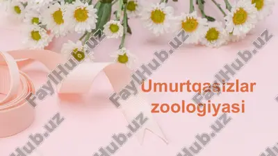 umurtqasizlar zoologiyasi — PPTX