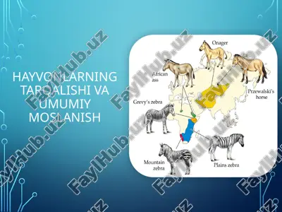 hayvonlarning tarqalishi va umumiy moslanish — PPTX