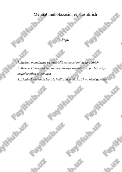 mehnat muhofazasini rejalashtirish — DOC