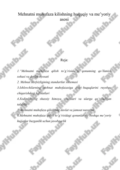 mеhnatni muhоfaza qilishning huquqiy va mе’yoriy asоsi — DOC