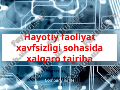 hayotiy faoliyat xavfsizligi sohasida xalqaro tajriba — PPTX