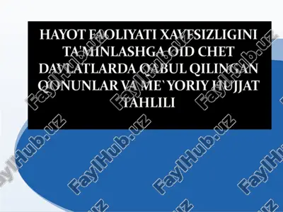 hayot faoliyati xavfsizligini ta'minlashga oid chet davlatlarda qabul qilingan qonunlar va meyoriy xujjatlar — PPTX