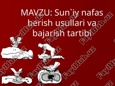 sun`iy nafas berish usullari va bajarish tartibi — PPTX