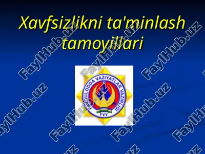 xavfsizlikni ta\\'minlash tamoyillari — PPT