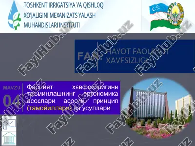 фаолият хавфсизлигини таъминлашнинг эргономика асослари асосий принцип (тамойиллари) ва усуллари — ZIP