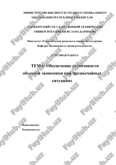 обеспечение устойчивости объектов экономики при чрезвычайных ситуациях — DOCX