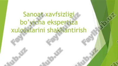 sanoat xavfsizligi bo’yicha ekspertiza xulosalarini shakllantirish — ZIP