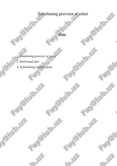 xomilaning provizor a’zolari — DOCX