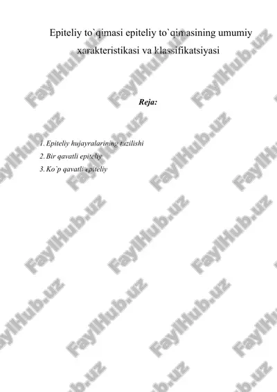 epiteliy to`qimasi epiteliy to`qimasining umumiy xarakteristikasi va klassifikatsiyasi — DOCX