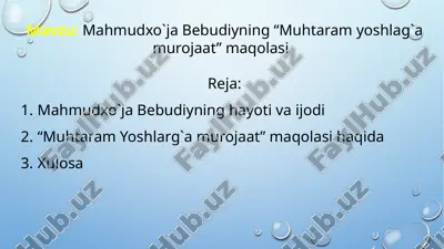 mahmudxo`ja bebudiyning “muhtaram yoshlag`a murojaat” maqolasi — PPTX