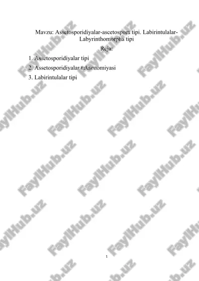 assetosporidiyalar-ascetospora tipi. labirintulalar- labyrinthomorpha tipi — DOCX