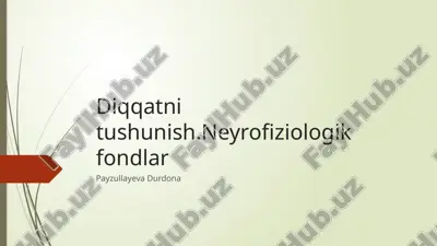 diqqatni tushunish.neyrofiziologik fondlar — PPTX