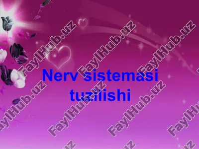 nerv sistemasi — PPTX
