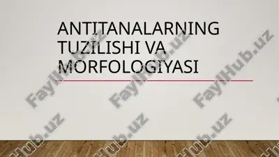 antitanalarning tuzilishi va morfologiyasi. — PPTX
