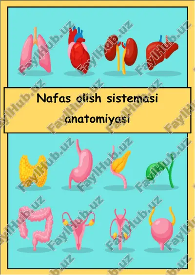 nafas olish sistemasi anotomiyasi — PDF