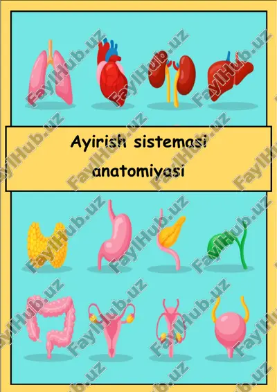 ayirish sistemasi anotomiyasi — PDF