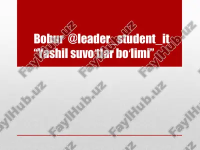 yashil suvoʻtlar boʻlimi — PPTX