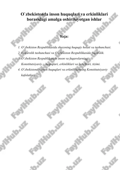 o`zbekistonda inson huquqlari va erkinliklari borasidagi amalga oshiriloyotgan ishlar — DOC
