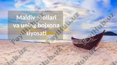 maldiv orollari va uning bojxona siyosati — PPTX