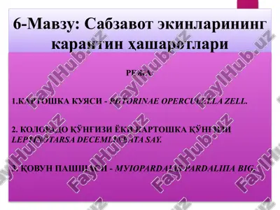 sabzavot ekinlarining karantin hasharotlari — PPTX