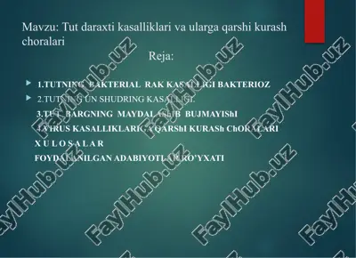 tut daraxti kasalliklari va ularga qarshi kurash choralari — PPTX