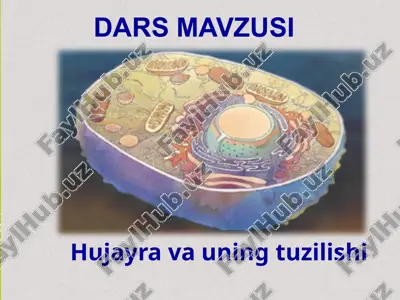 hujayra va uning tuzilishi — PPTX