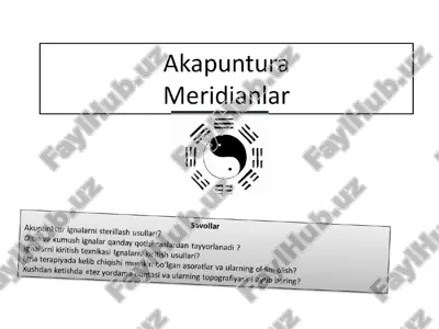 meridianlar — PPTX