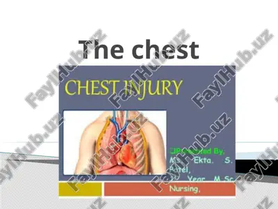 the chest — PPTX