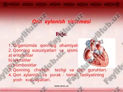 qon aylanish sistemasi — PPT