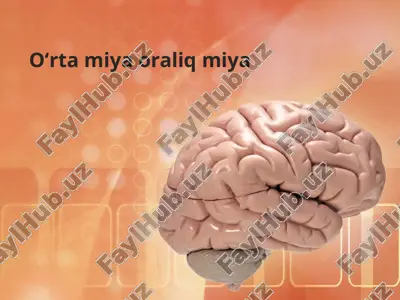 o'rta miya va bosh miyaning tuzilishi hamda funksiyasi — PPTX