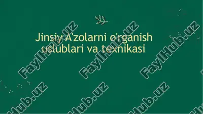 jinsiy a'zolarni o'rganish uslublari va texnikasi — PPTX
