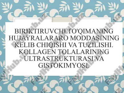 biriktiruvchi to'qimaning hujayralararo moddasining kelib chiqishi va tuzilishi. kollagen tolalarining ultrastrukturasi va gistokimyosi. — PPTX