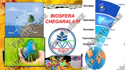 biosfera chegaralari — PPT