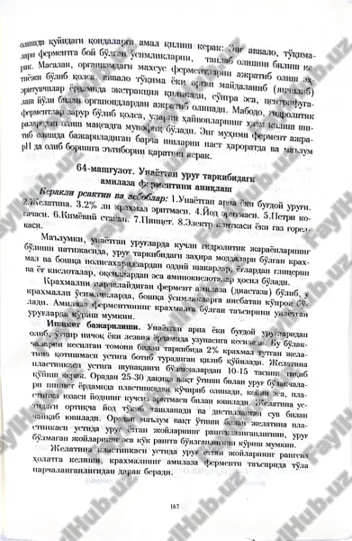 bozor vaqtining mustahkamlanishi haqida tahliliy maqola — PDF