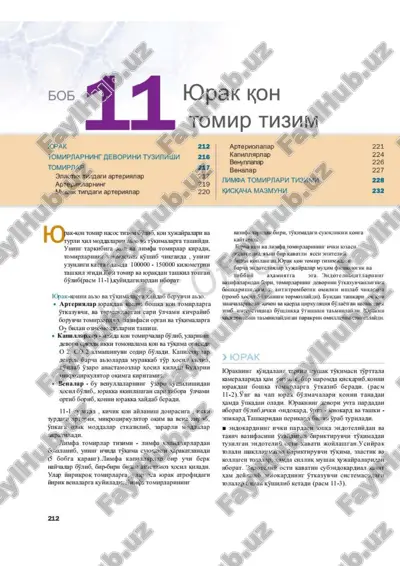 qizil oyoq chiroqli — PDF