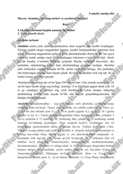 akulalar turkumi — DOC