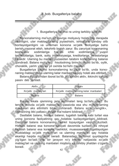 buxgalteriya balansi — DOC