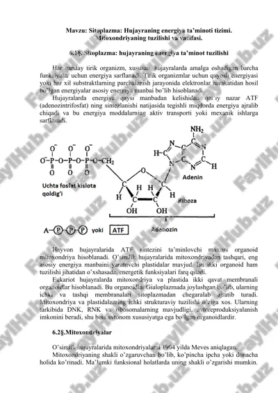 sitoplazma va mitoxondriyaning energiya ta’minoti — DOC