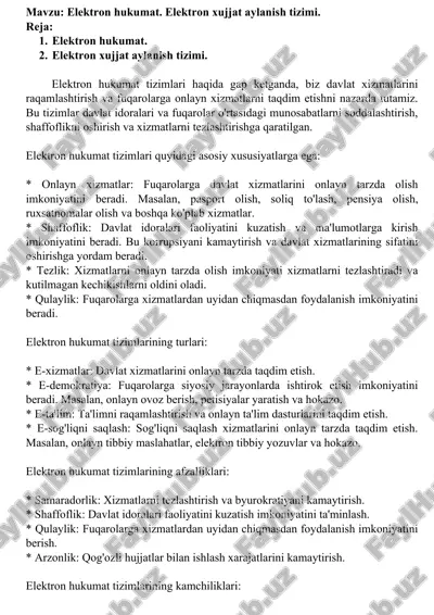 elektron hukumat tizimlari — DOC