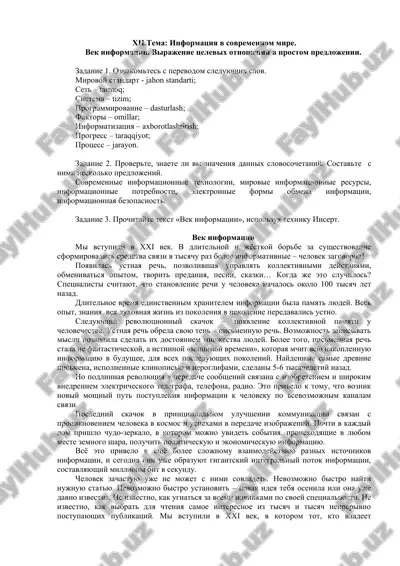 vek informatsii — DOC