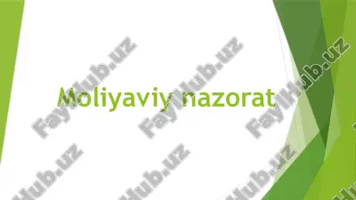 moliyaviy nazorat — PPTX