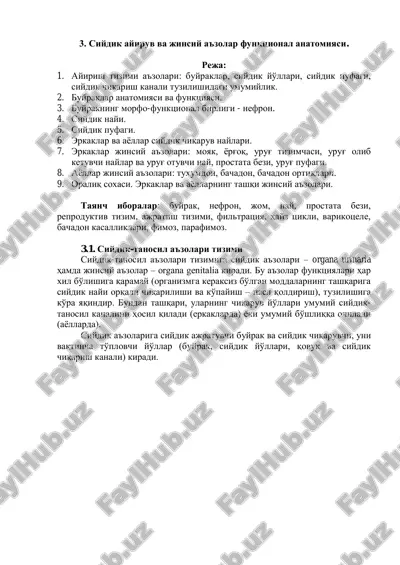 siydik ayiruv va jinsiy a'zolar funktsional anatomiyasi — PDF