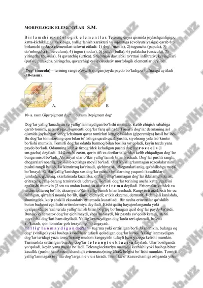 morfologik elementlar — PDF