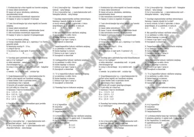 hayvonlar klassifikatsiyasi — PDF