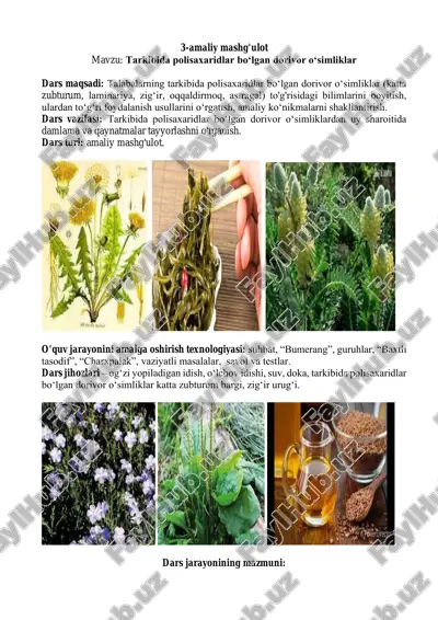 dorivor o‘simliklar va ulardan foydalanish — PDF