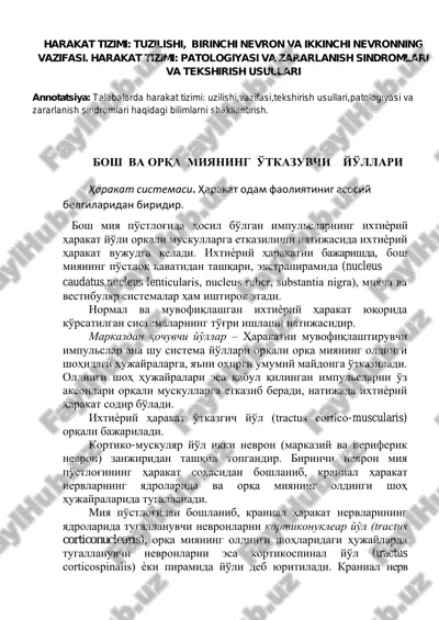 harakat tizimi: tuzilishi, birinchi nevron va ikkinchi nevronning vazifasi. harakat tizimi: patologiyasi va zararlanish sindromlari va tekshirish usullari — PDF