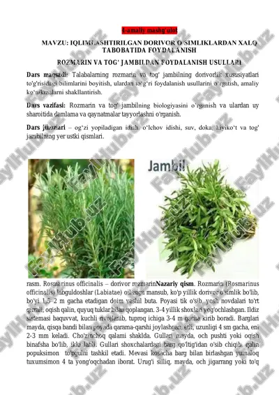 rozmarin va tog' jambil — PDF